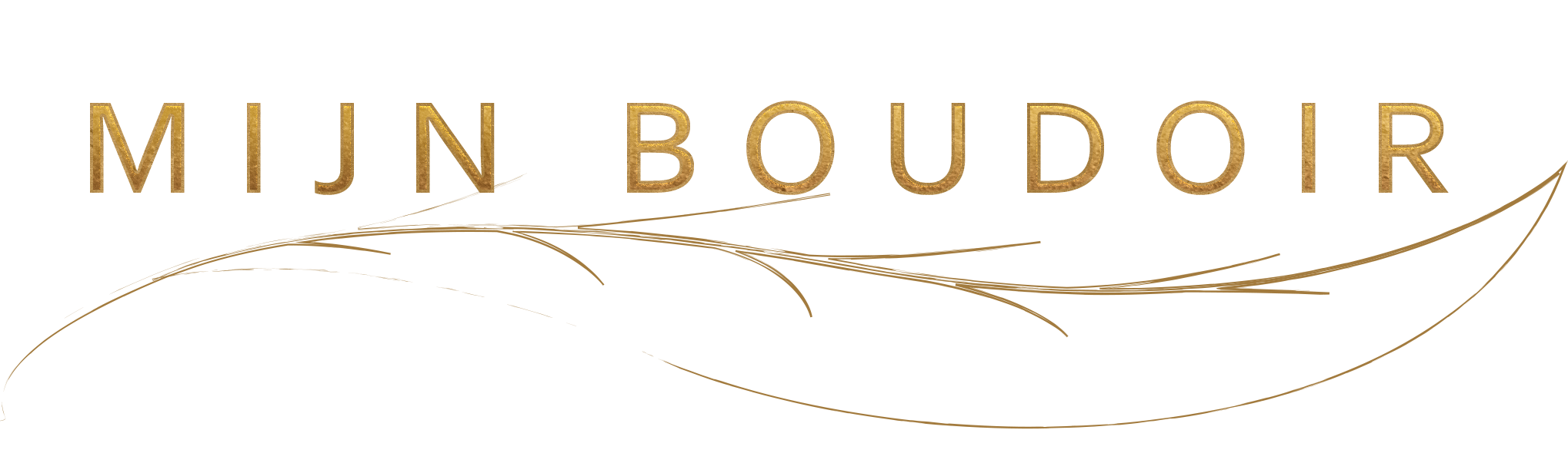 Logo Mijn boudoir shoot