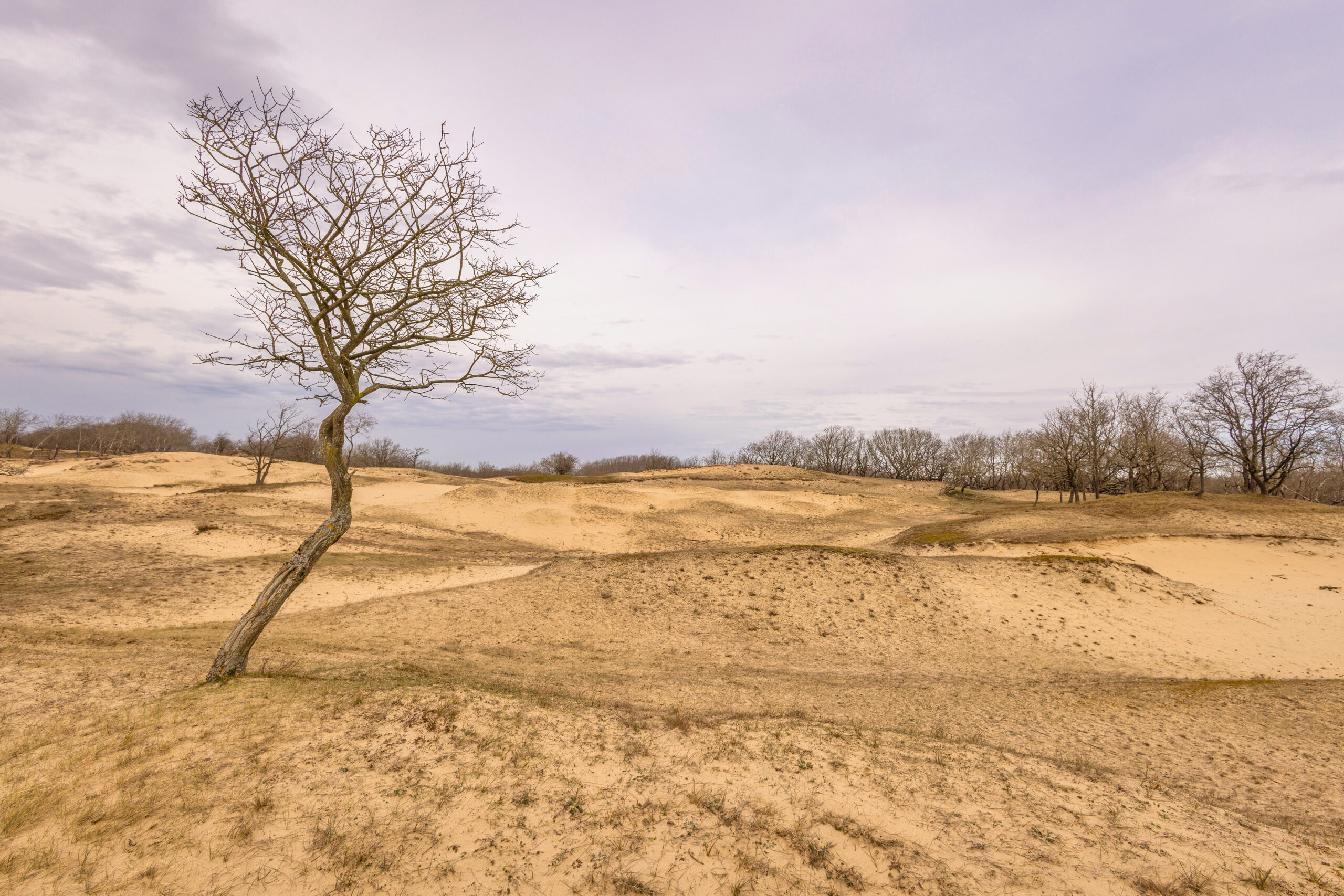 Boudoir fotoshoot locatie in de Amsterdamse Wateleidingduinen